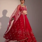 Evara raspberry pink silk lehenga